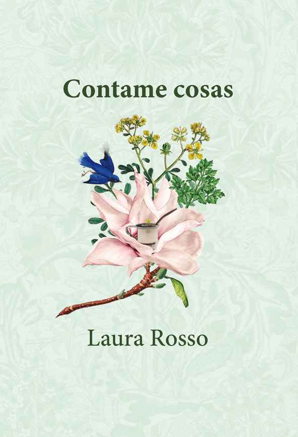 Libro: Contame cosas (Editorial Chirimbote)